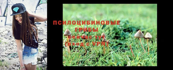 прущая мука Алзамай
