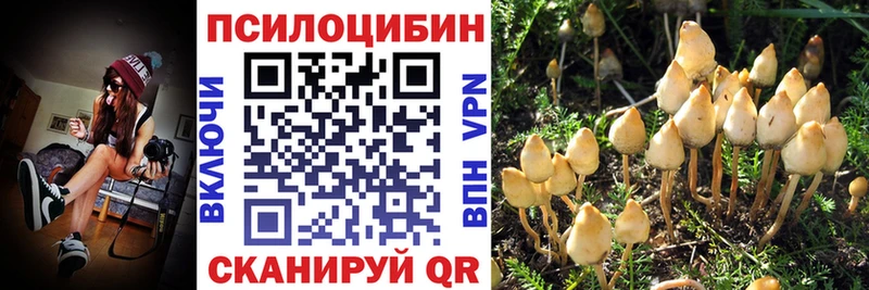 наркотики  Межгорье  гидра зеркало  Галлюциногенные грибы Magic Shrooms 